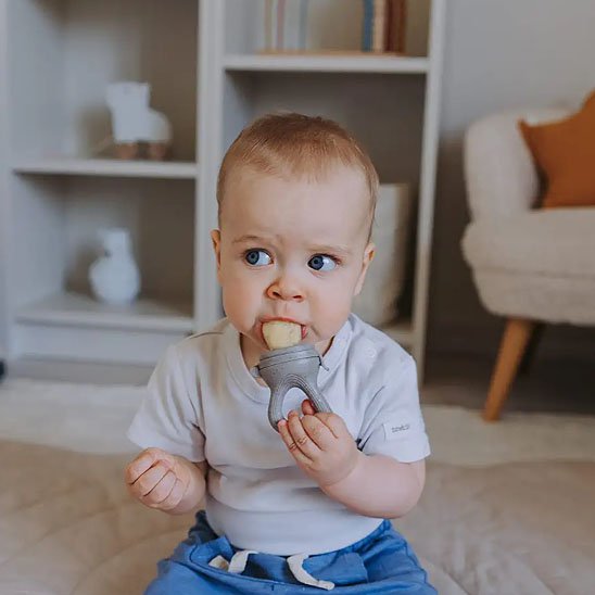 Grignoteuse Bébé Anti-Étouffement | BabyNibble