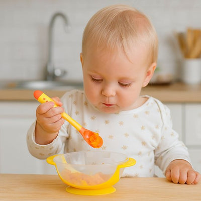 Assiette bébé & accessoires